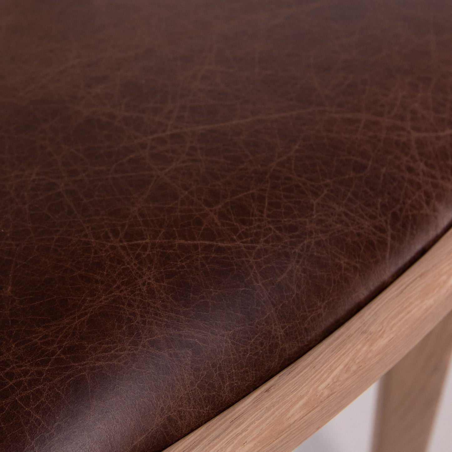 Starling Dining Chair